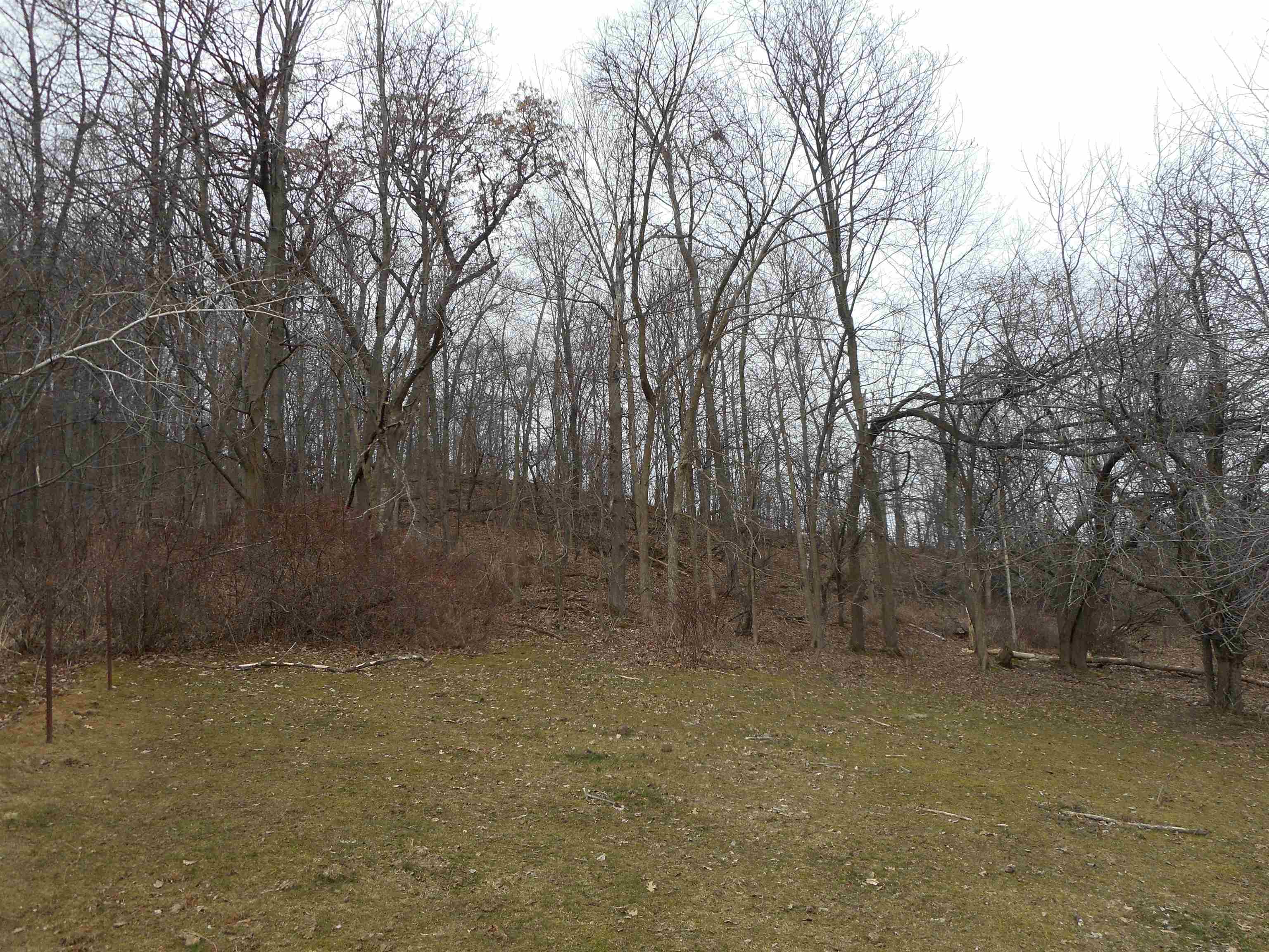 24503 Livingston Road Wilton, WI 54670 - Photo 8 of 48