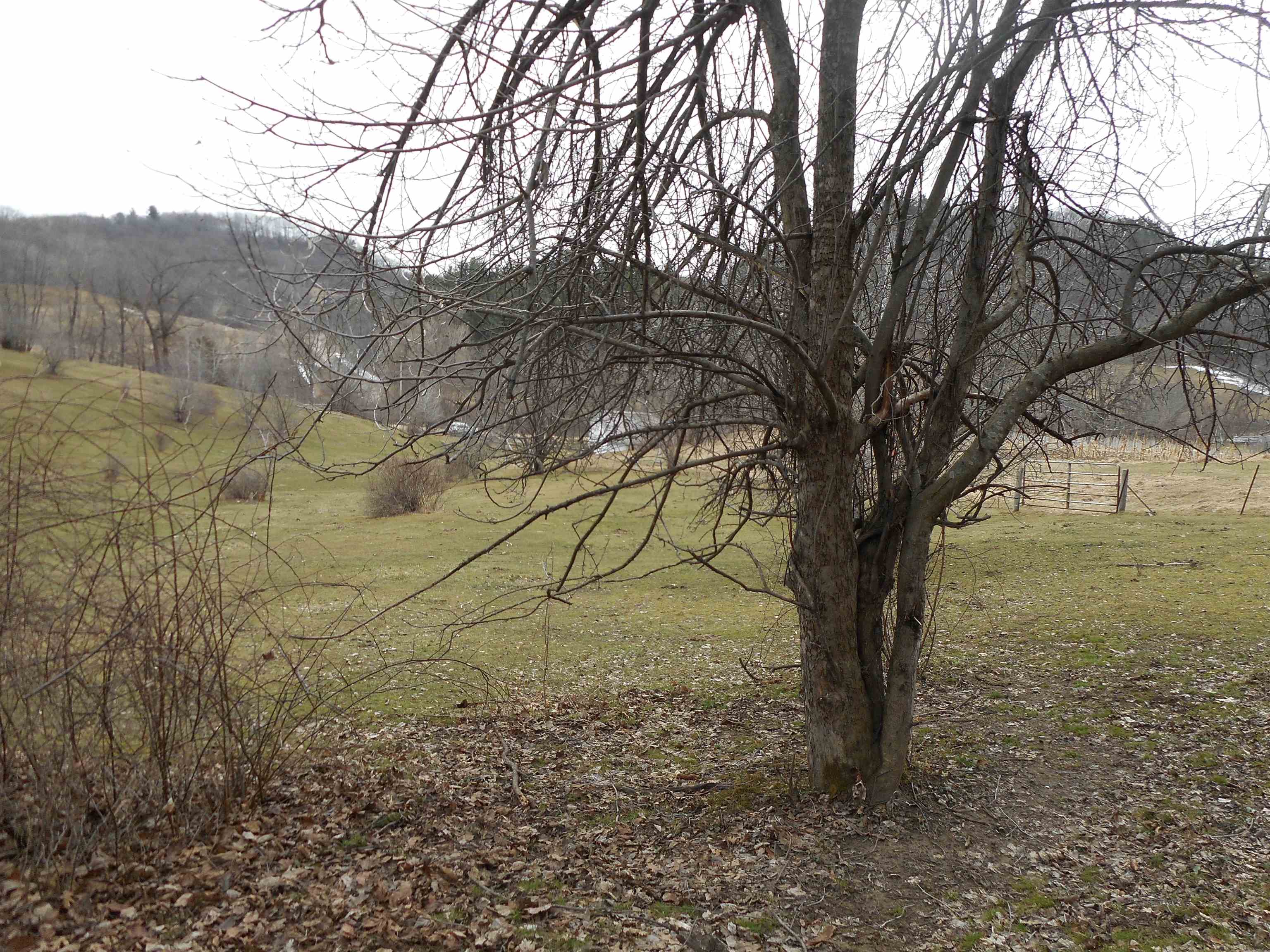 24503 Livingston Road Wilton, WI 54670 - Photo 10 of 48