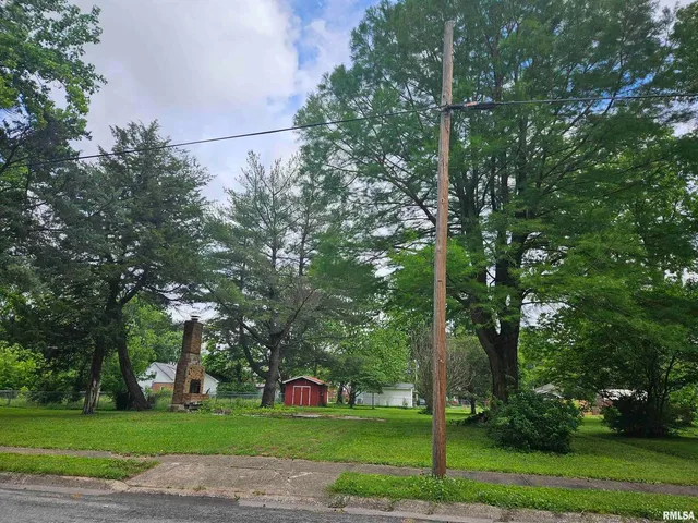 a view of a field with a trees