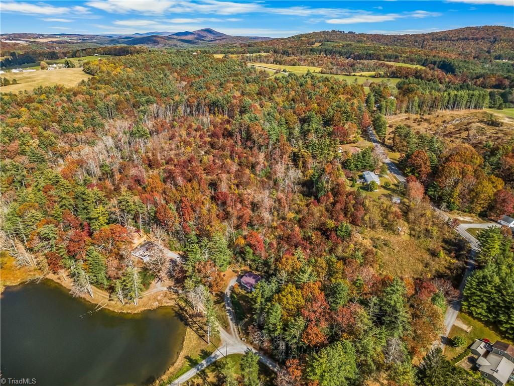 0 Shawtown Road Glade Valley, NC 28627 - Photo 3 of 9