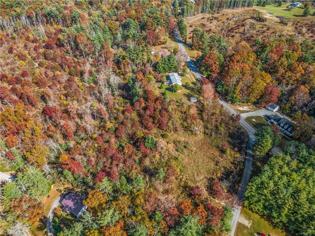 0 Shawtown Road Glade Valley, NC 28627 - Photo 4 of 9