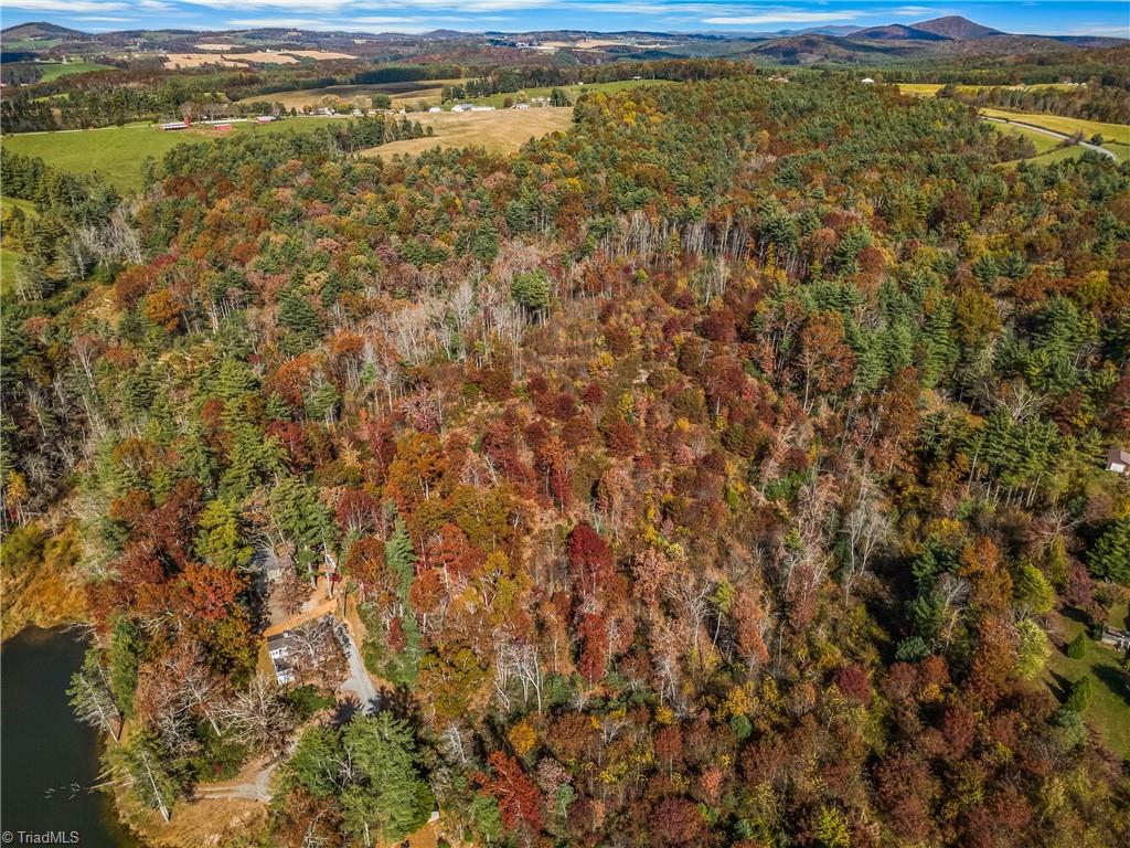 0 Shawtown Road Glade Valley, NC 28627 - Photo 5 of 9