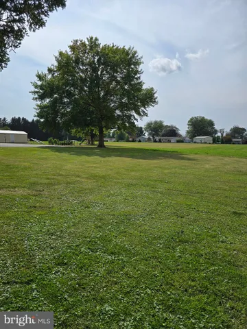 a view of a green field with trees in the background
