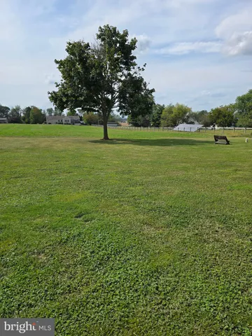 a view of a field with an trees in the background
