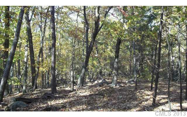 5-trac Little Mountain Road, Unit 12310 Clover, SC 29710 - Photo 7 of 16 Gallery Image 7