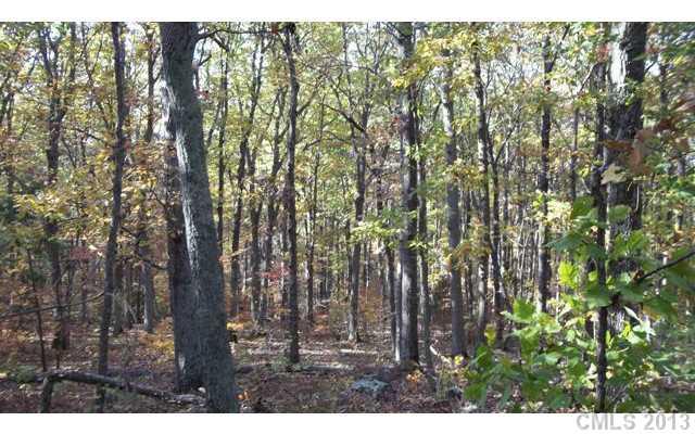 5-trac Little Mountain Road, Unit 12310 Clover, SC 29710 - Photo 9 of 16 Gallery Image 9