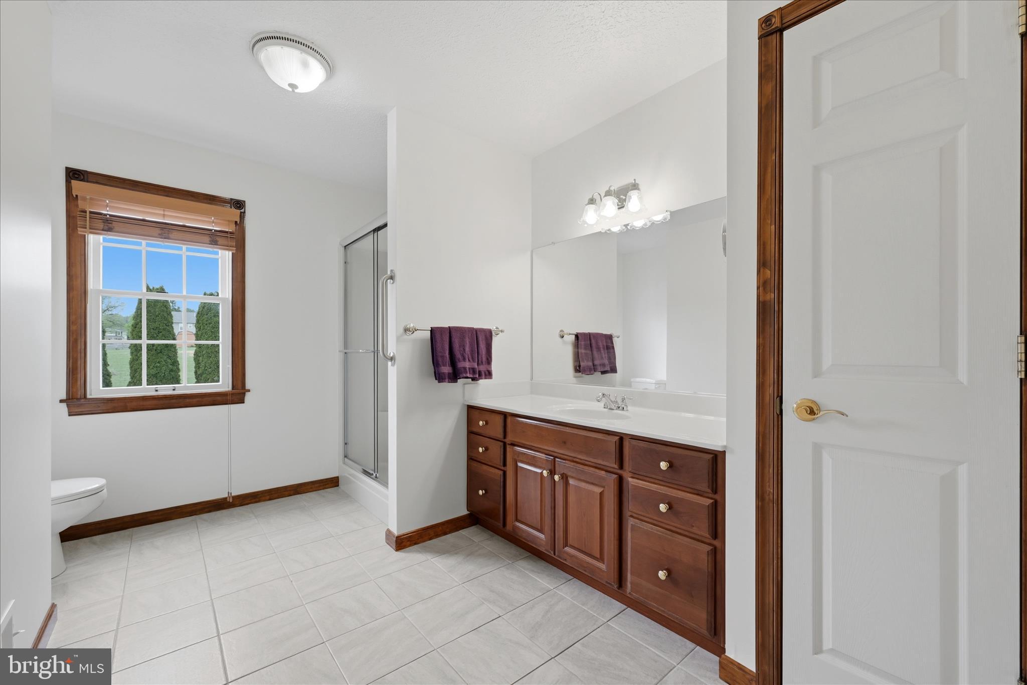 412 Ruebuck Road Clear Brook, VA 22624 - Photo 16 of 43 a spacious bathroom with a granite countertop sink and a mirror