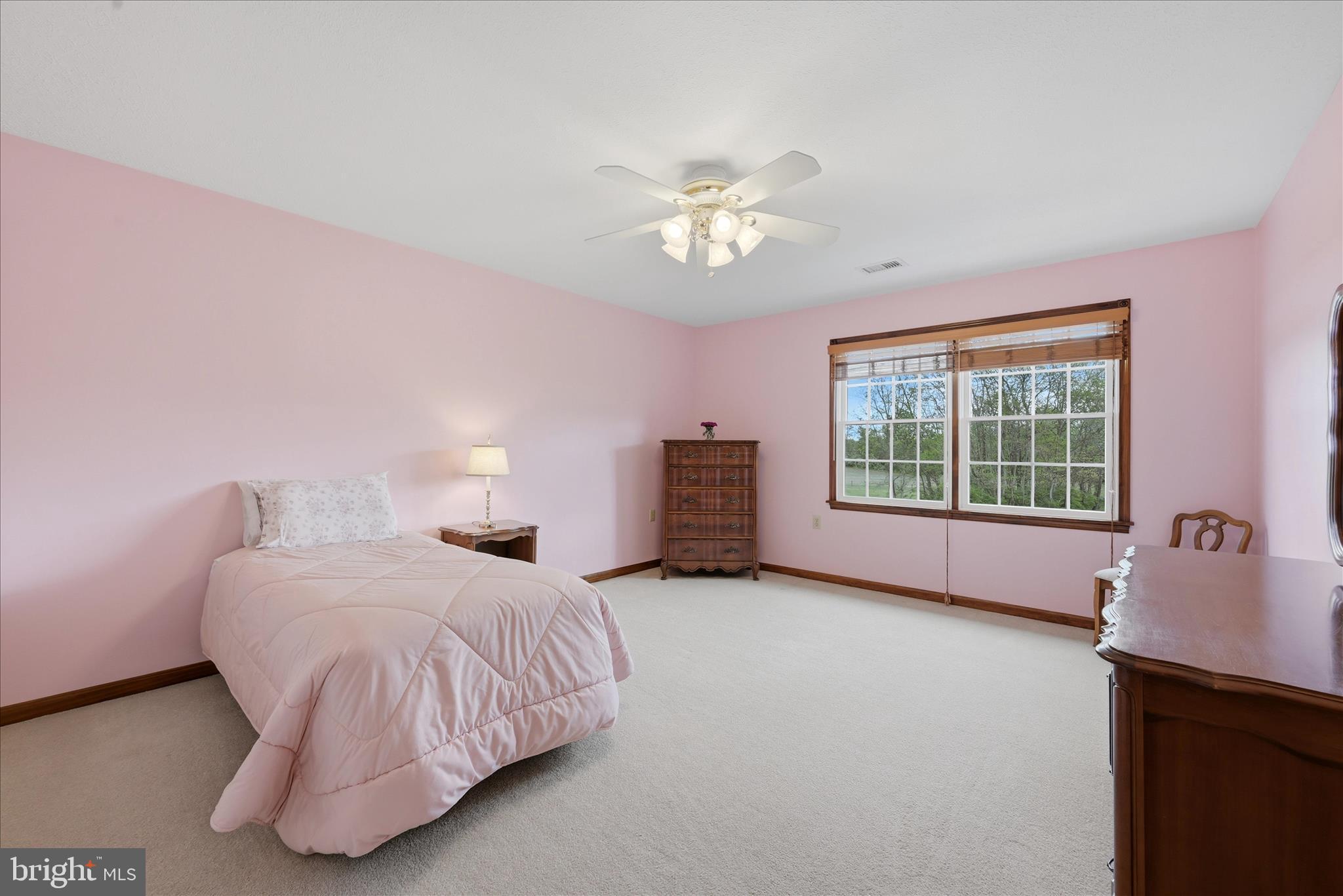 412 Ruebuck Road Clear Brook, VA 22624 - Photo 18 of 43 a spacious bedroom with a bed and a window
