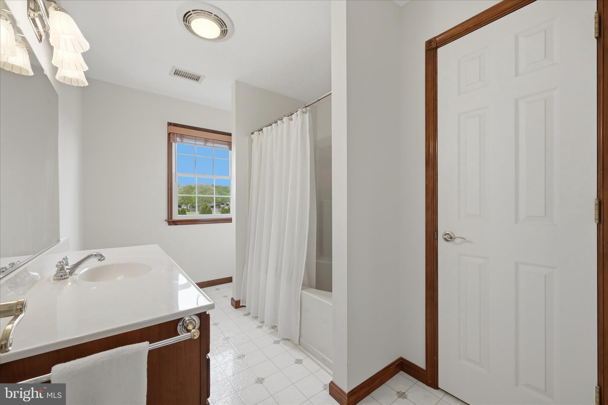 412 Ruebuck Road Clear Brook, VA 22624 - Photo 23 of 43 a bathroom with a sink and a mirror