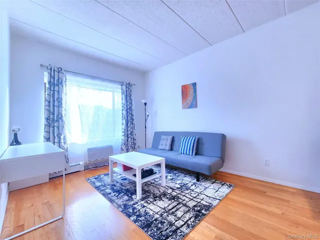 a living room with furniture and a rug