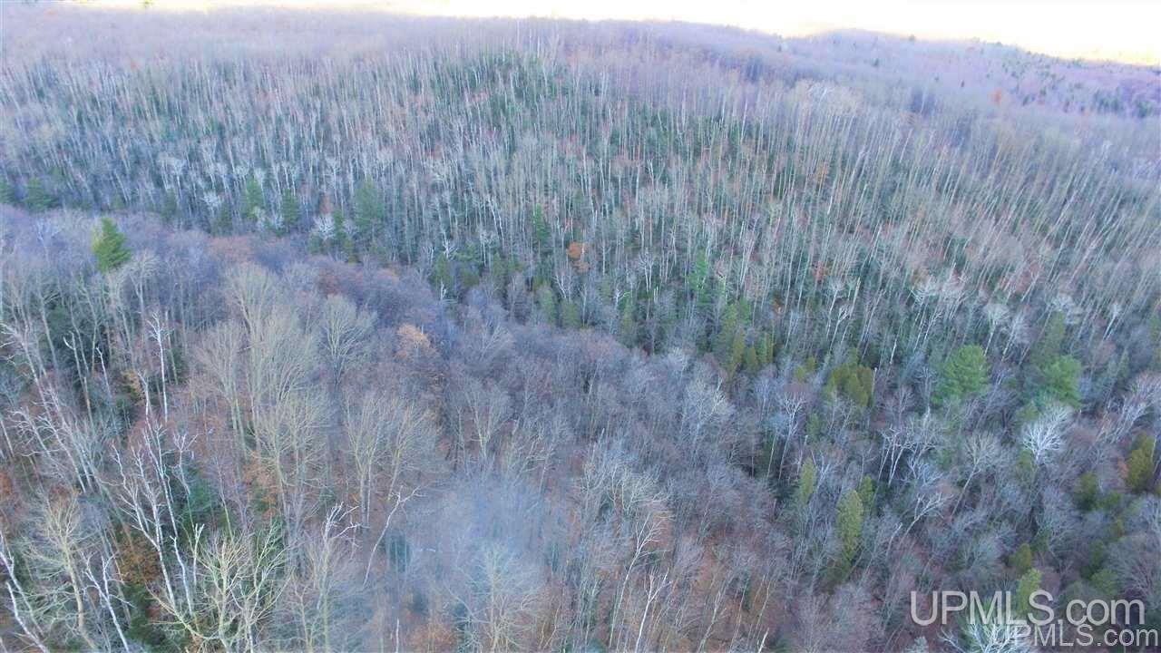 Tbd Youngs Road Gwinn, MI 49841 - Photo 35 of 48 Gallery Image 35