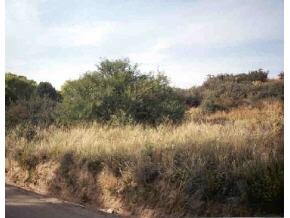 0 North Old Skull Valley Road Prescott, AZ 86305 - Photo 1 of 1 Primary Photo