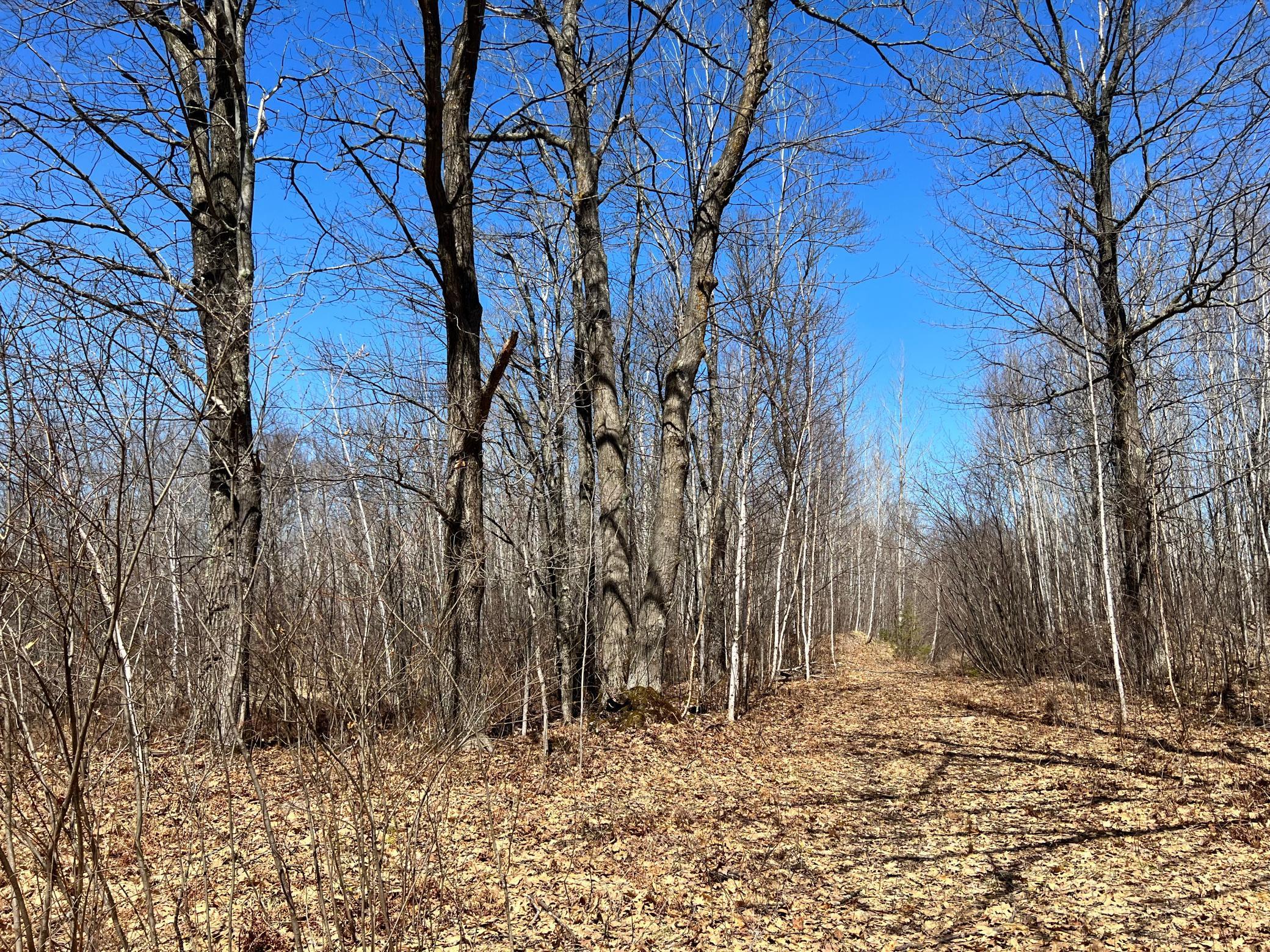Na Lower Tamarack Road Bruno, MN 55712 - Photo 1 of 1 Gallery Image 1