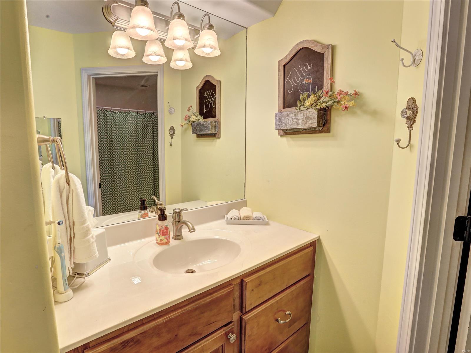 711 Forest Ridge Trail Lane Ballwin, MO 63021 - Photo 22 of 44 Gallery Image 22