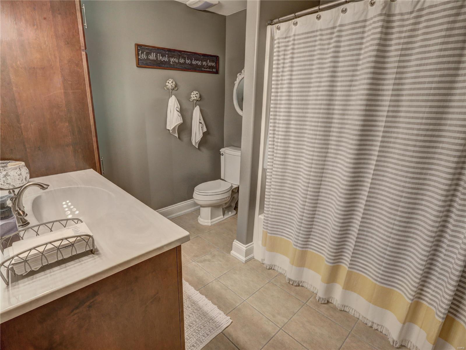 711 Forest Ridge Trail Lane Ballwin, MO 63021 - Photo 34 of 44 Gallery Image 34