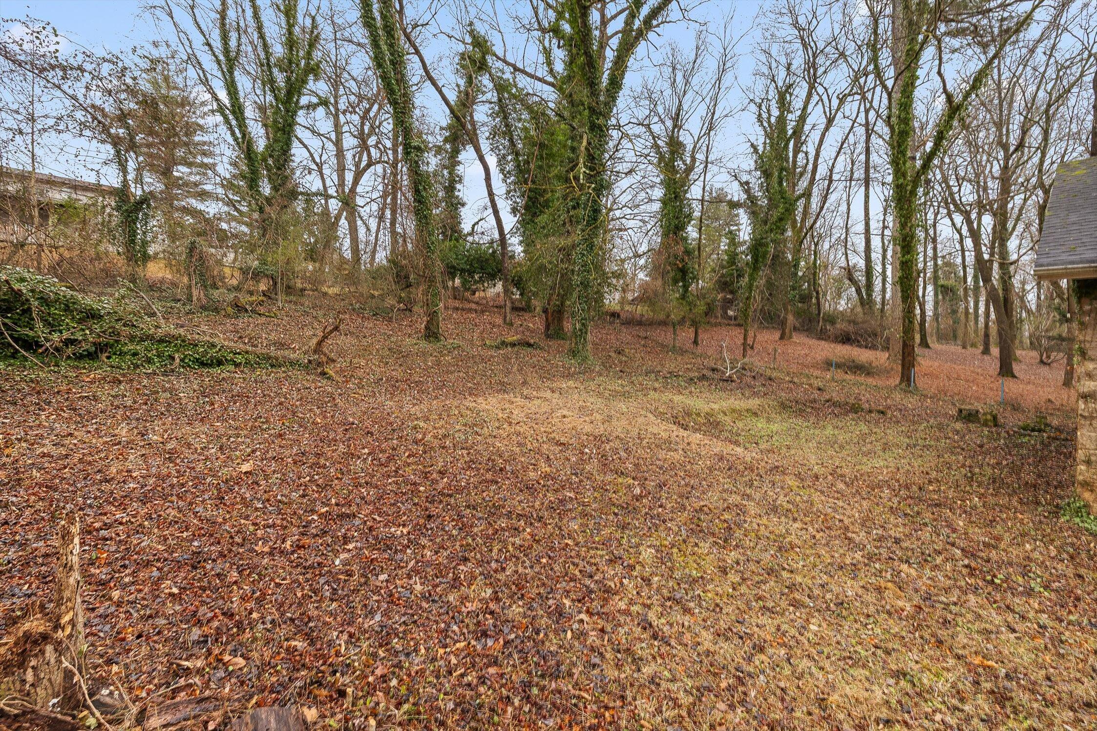 6529 Waconda Point Road Harrison, TN 37341 - Photo 54 of 75 084-Waconda-83