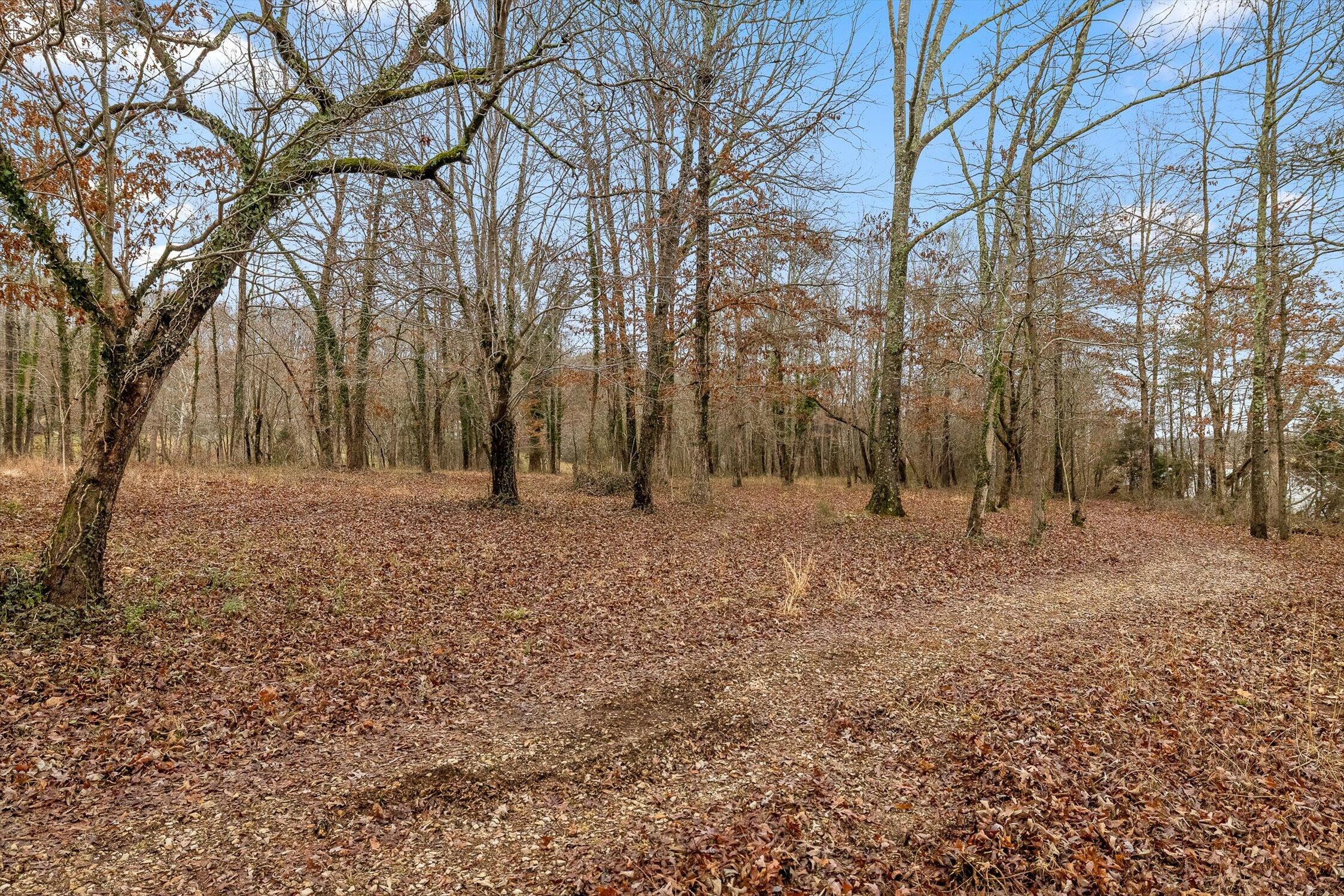 6529 Waconda Point Road Harrison, TN 37341 - Photo 66 of 75 010-Waconda-9