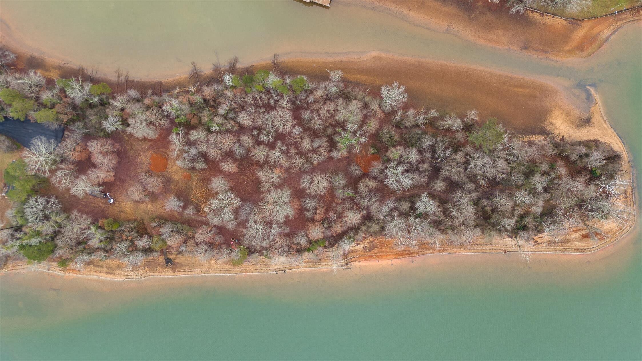 6529 Waconda Point Road Harrison, TN 37341 - Photo 74 of 75 102-Waconda-101