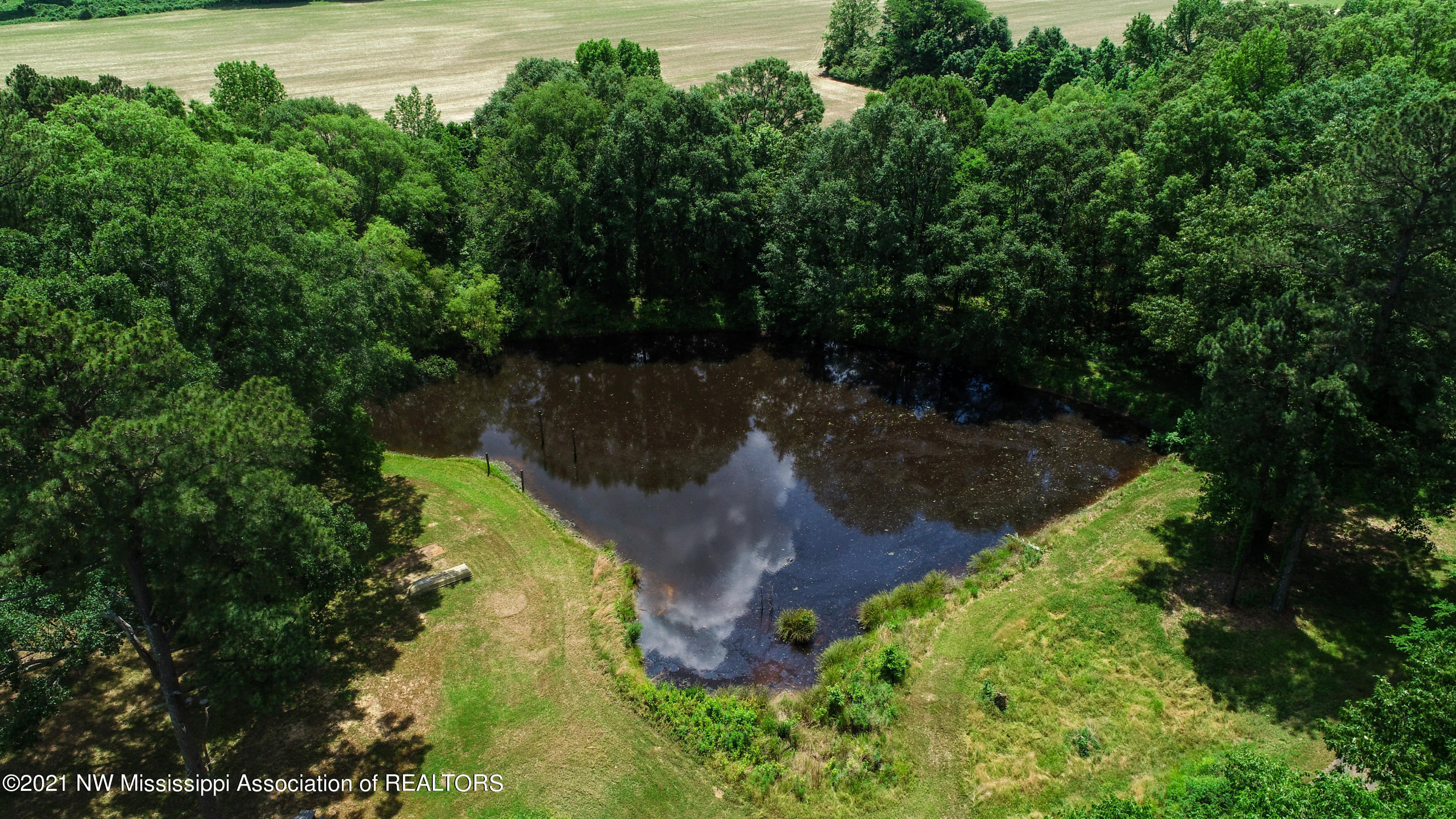 2575 Nesbit Road Nesbit, MS 38651 - Photo 4 of 14 Pond