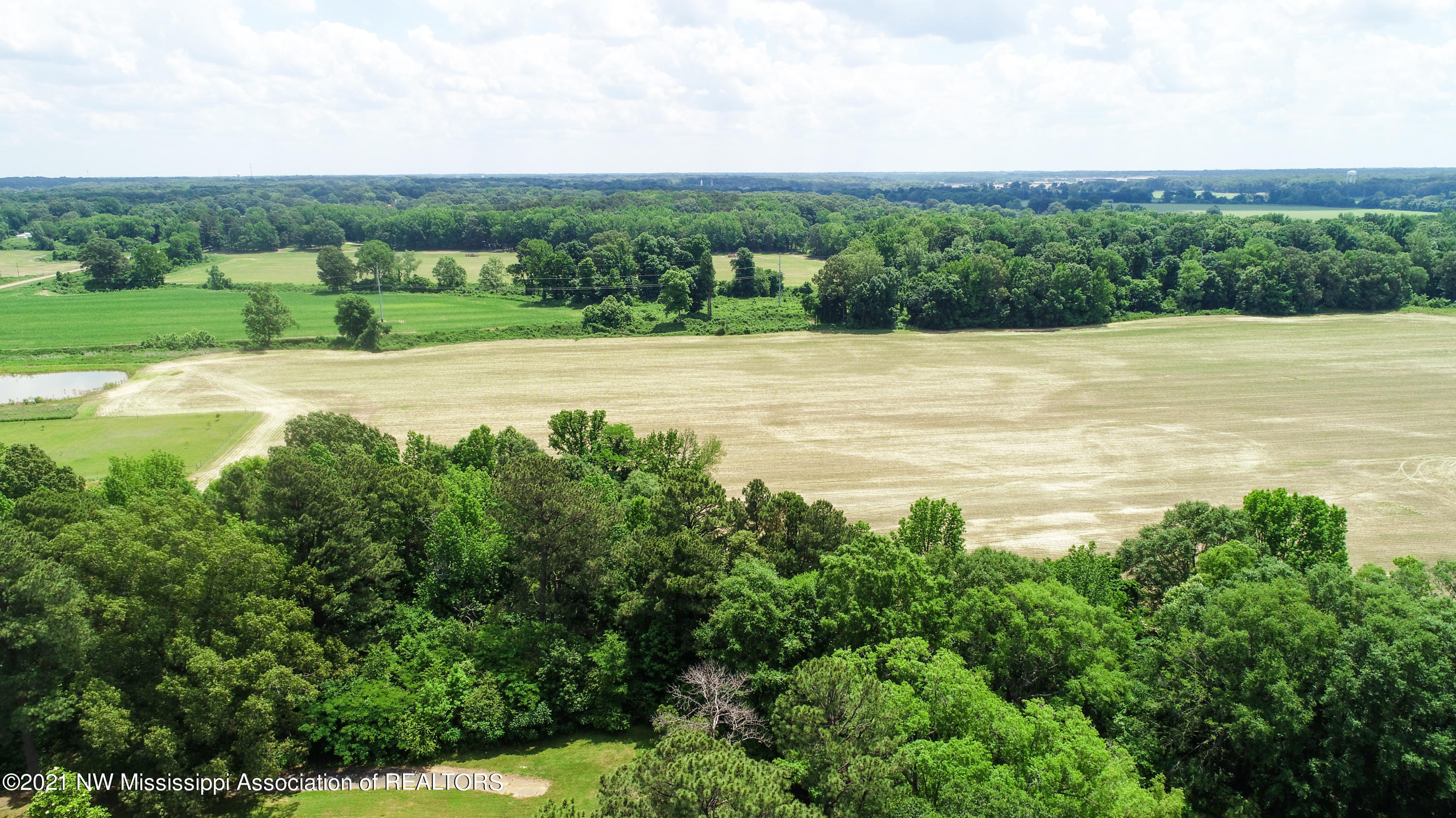 2575 Nesbit Road Nesbit, MS 38651 - Photo 6 of 14 Land