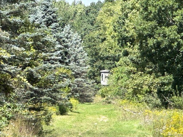 Lot 1 East Clyde Road Howell, MI 48855 - Photo 20 of 29