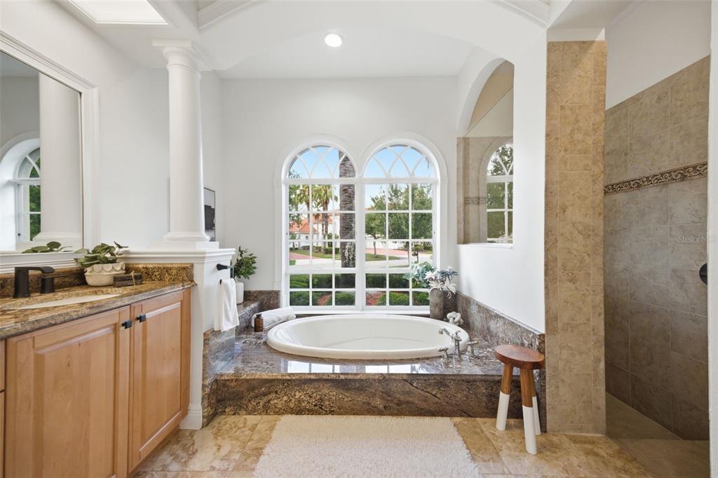 9409 Tree Tops Lake Road Tampa, FL 33626 - Photo 28 of 97