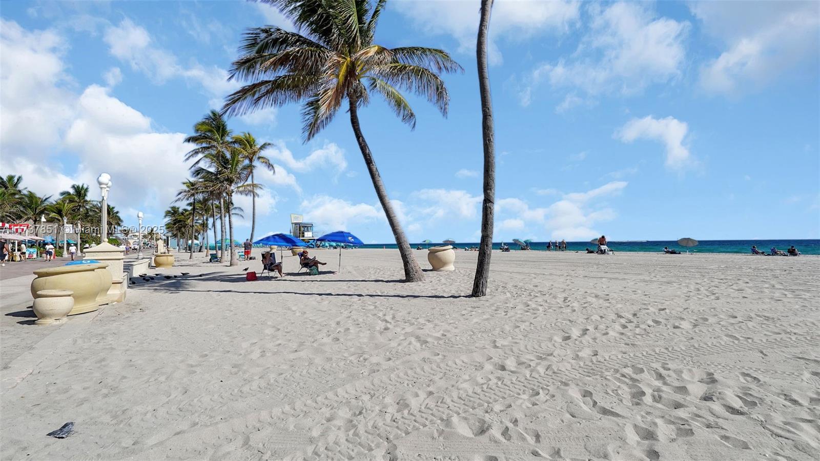 322 Buchanan Street, Unit 907 Hollywood, FL 33019 - Photo 39 of 45 a view of a lake with a palm tree
