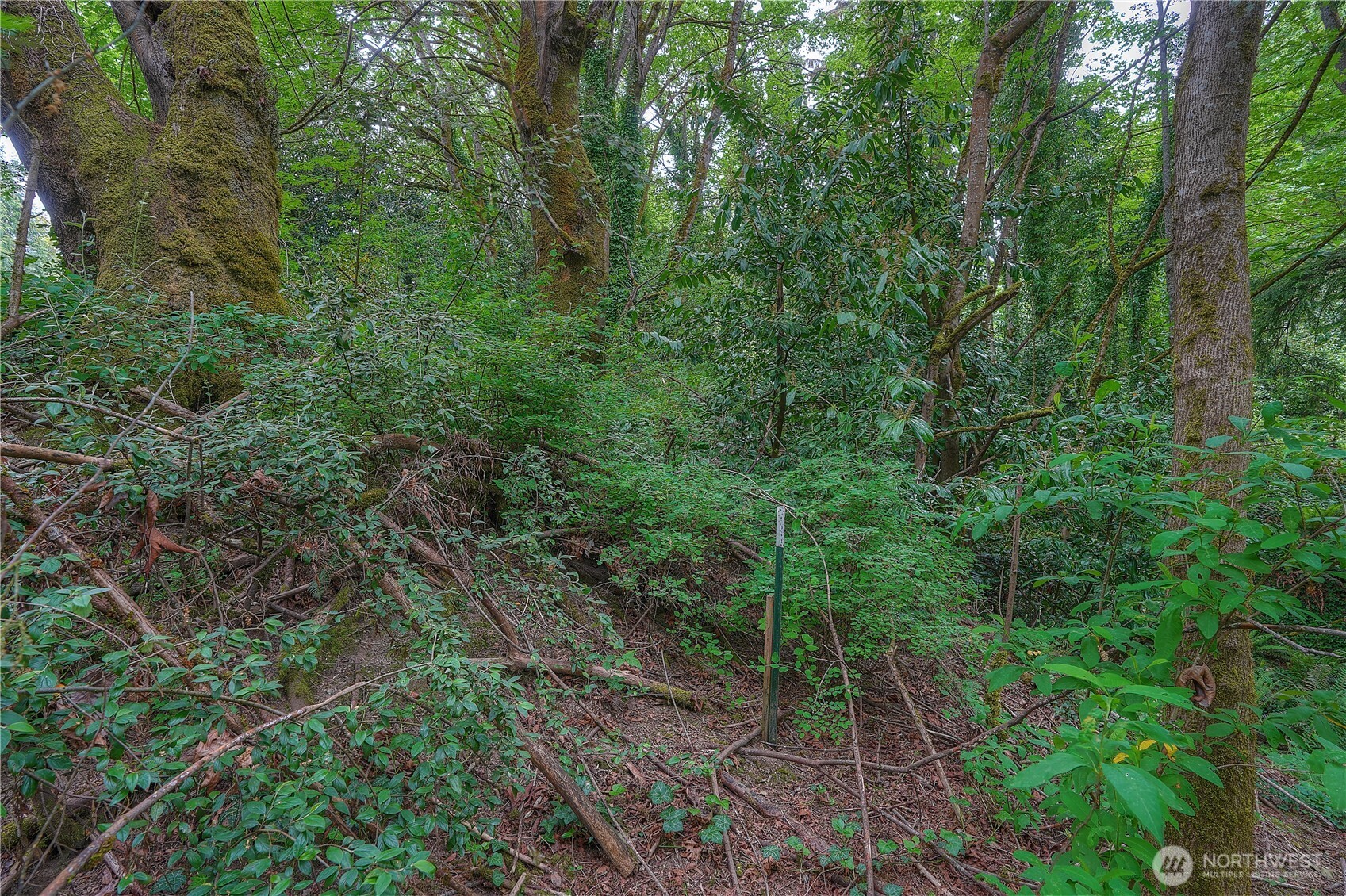 0 Agnes Road Northeast Tacoma, WA 98422 - Photo 11 of 21