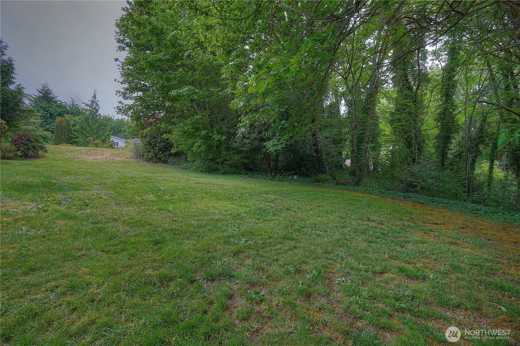 0 Agnes Road Northeast Tacoma, WA 98422 - Photo 17 of 21 a view of a grassy field with trees in the background