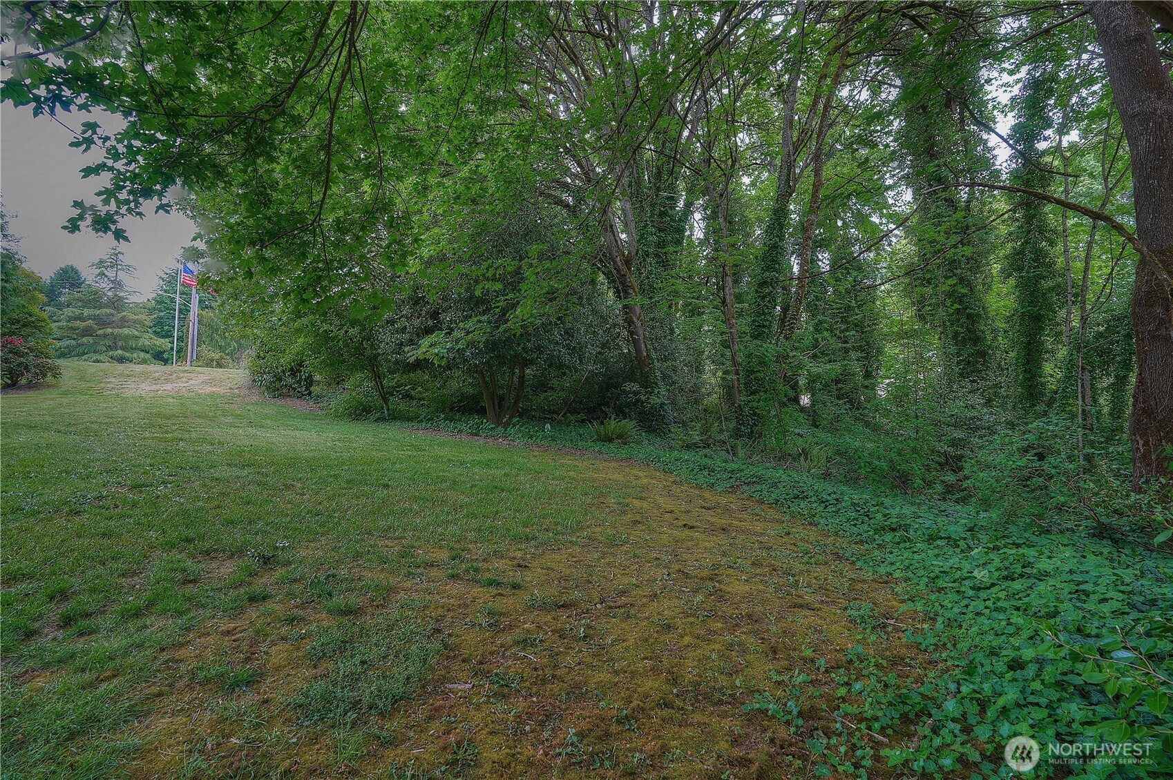 0 Agnes Road Northeast Tacoma, WA 98422 - Photo 18 of 21 a view of a big yard with large trees