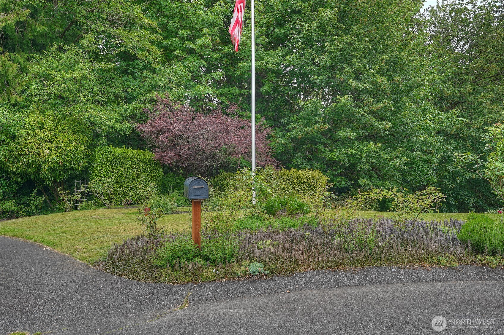 0 Agnes Road Northeast Tacoma, WA 98422 - Photo 5 of 21 a backyard of a house with lots of green space and plants
