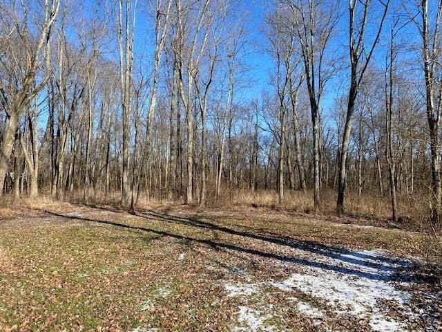 3.7-acres West Foster-Maineville Road Maineville, OH 45039 - Photo 5 of 8