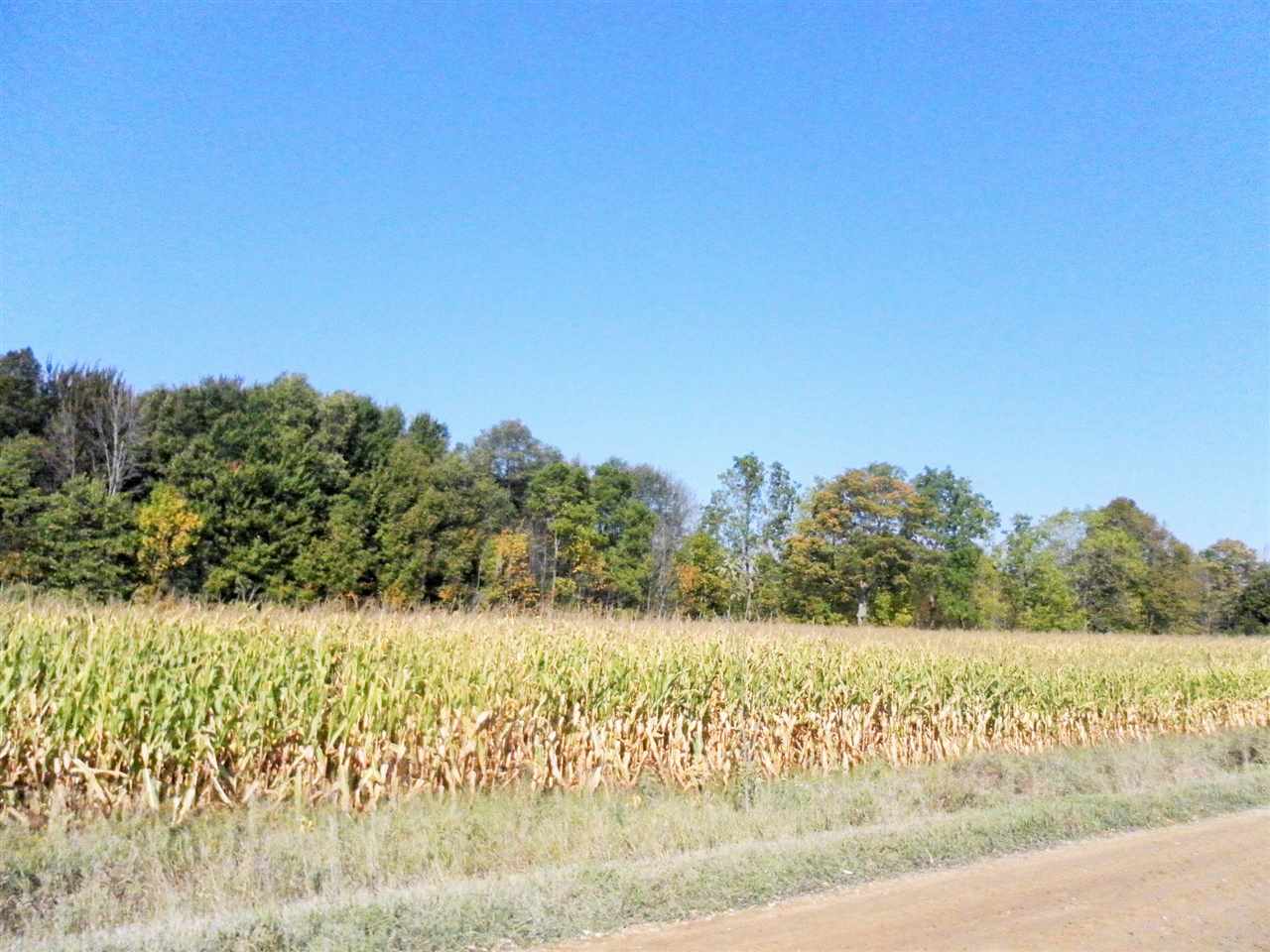10460 South Turnerville Road Marion, MI 49665 - Photo 5 of 5 1838950-4.JPG