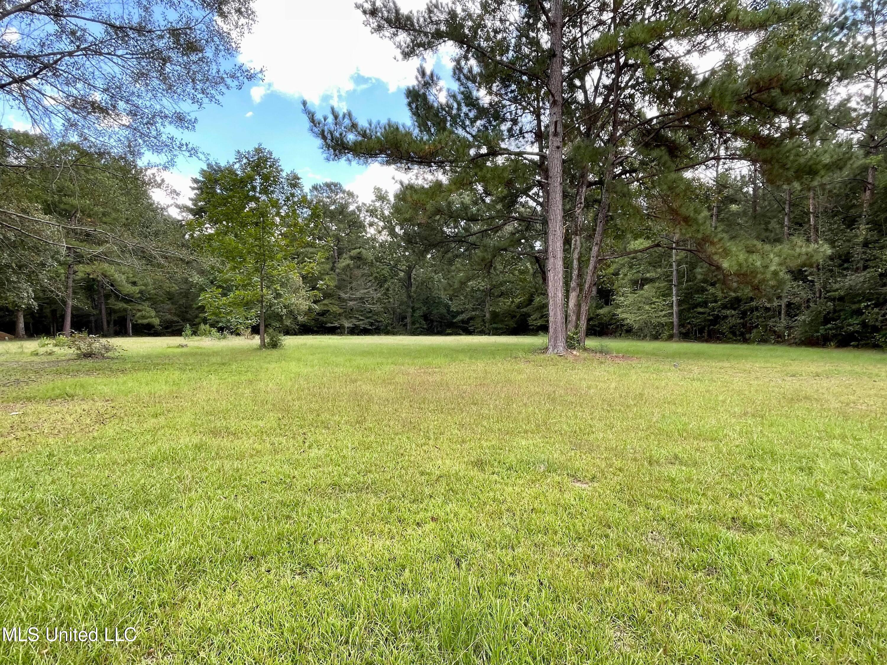 324 Bridgeport Road Pinola, MS 39149 - Photo 39 of 45 Nice yard