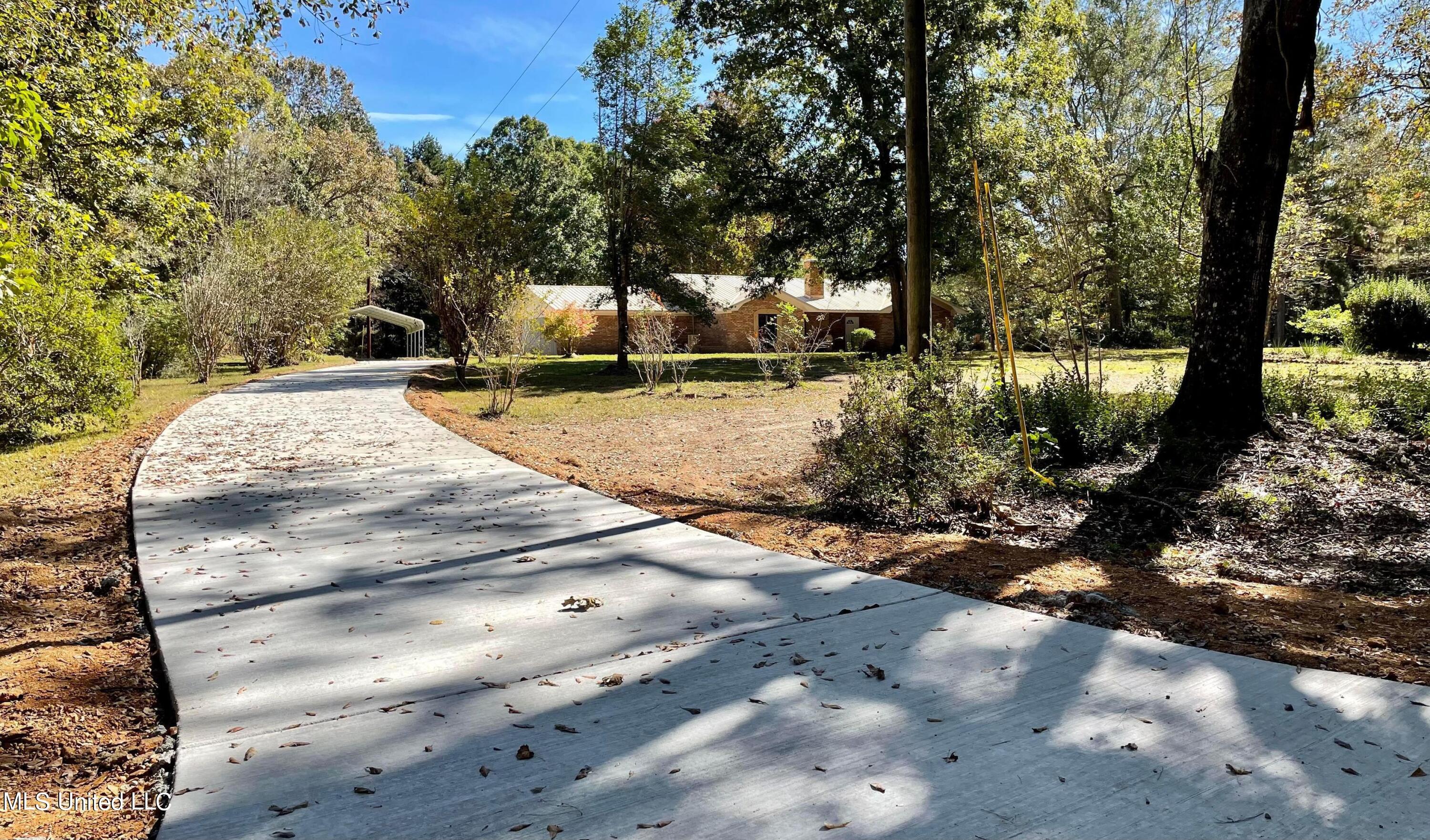 324 Bridgeport Road Pinola, MS 39149 - Photo 4 of 45 New Drive