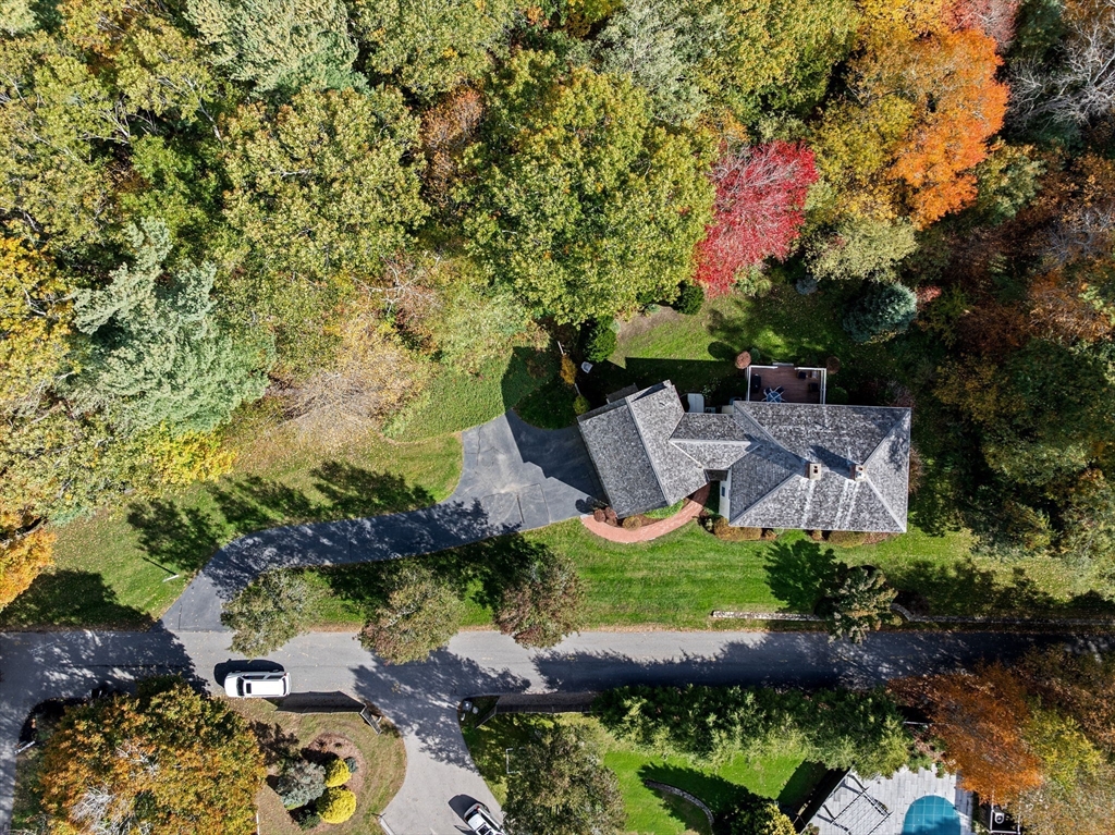138 Judge Cushing Road Scituate, MA 02066 - Photo 34 of 40 a view of a garden with plants and large trees