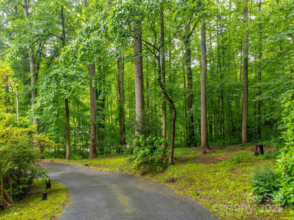 302 Mitchell Road Sylva, NC 28779 - Photo 2 of 48 a view of outdoor space and trees