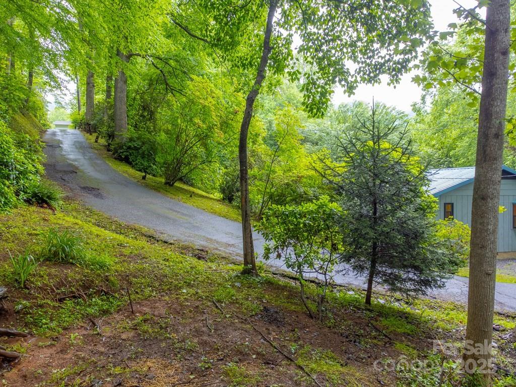 302 Mitchell Road Sylva, NC 28779 - Photo 3 of 48 a view of a yard with plants and large trees