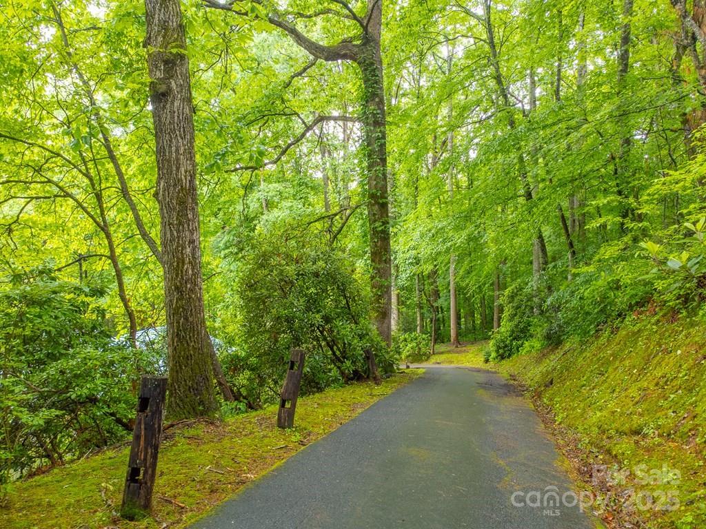 302 Mitchell Road Sylva, NC 28779 - Photo 36 of 48 a view of a yard with plants and large trees