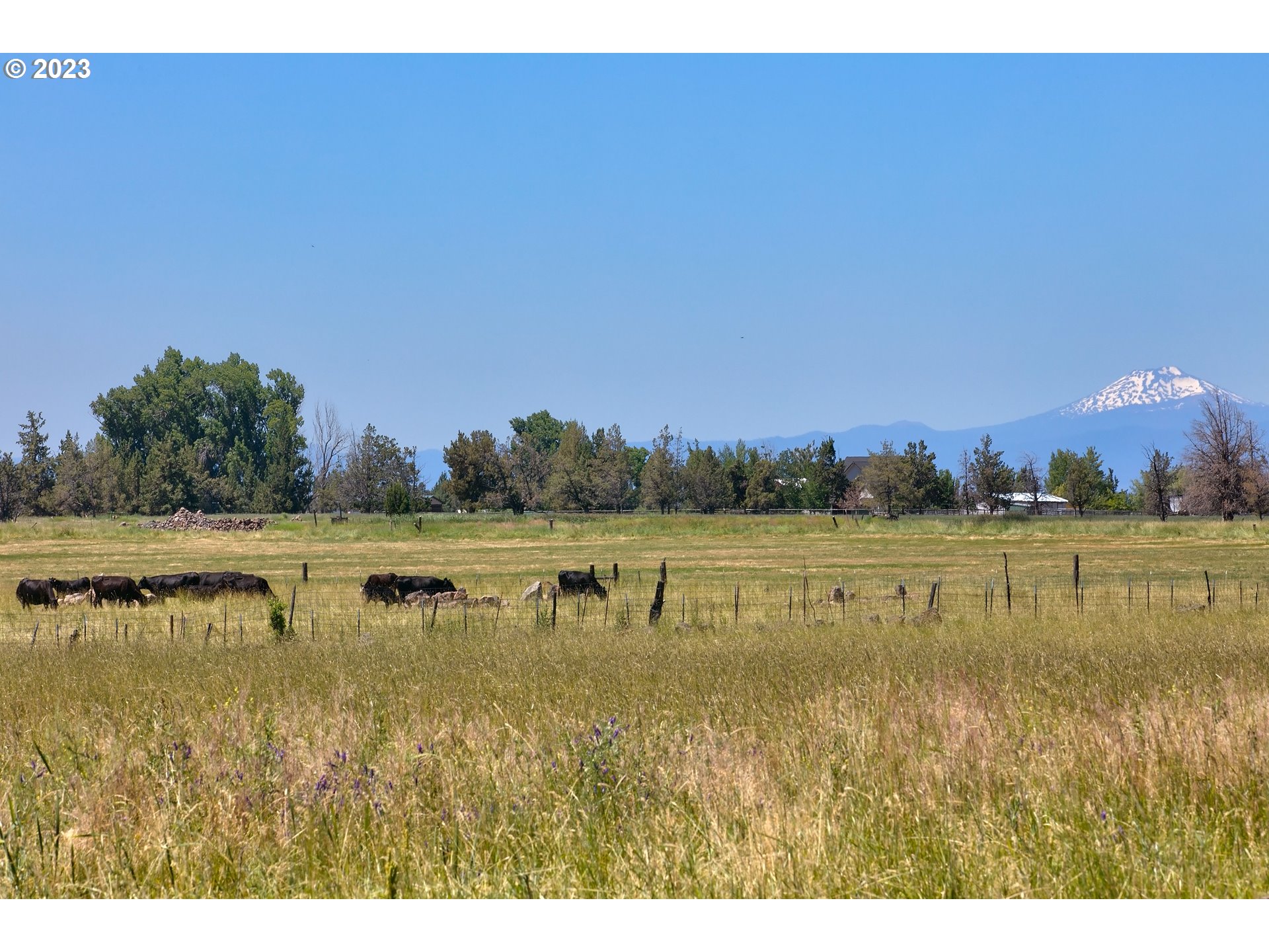 11677 Southwest Houston Lake Road Powell Butte, OR 97753 - Photo 25 of 35 a view of lake with green space