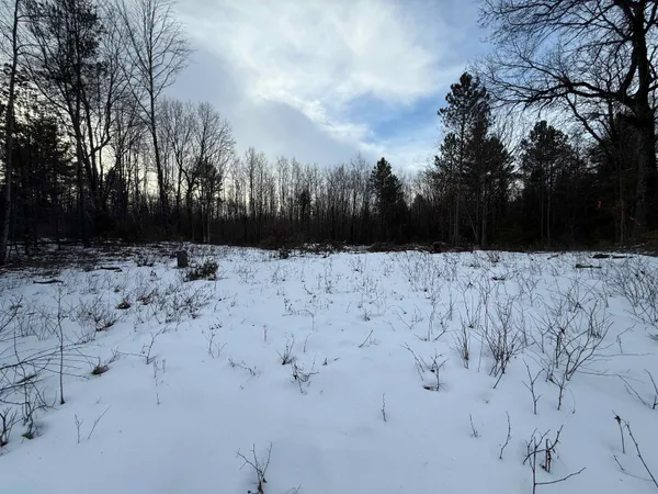 $40,000 | W1561 Hawks Nest Trail, Unit 62, Keshena, WI 54135