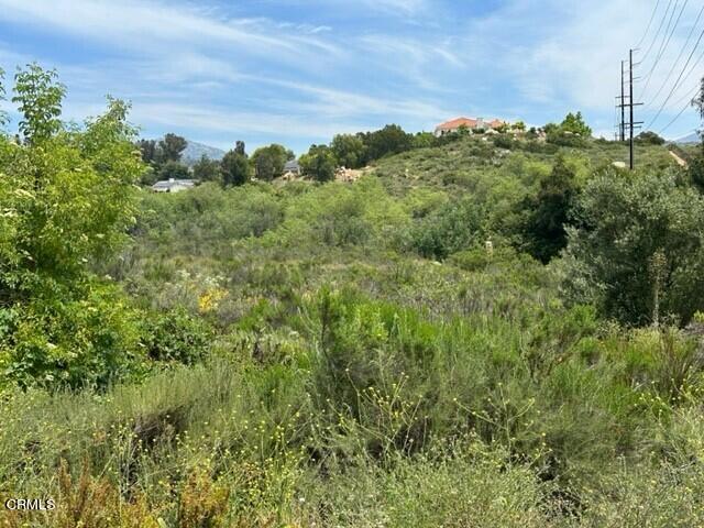 0 Midland Road Poway, CA 92064 - Photo 2 of 9 a view of a lush green forest with lots of trees