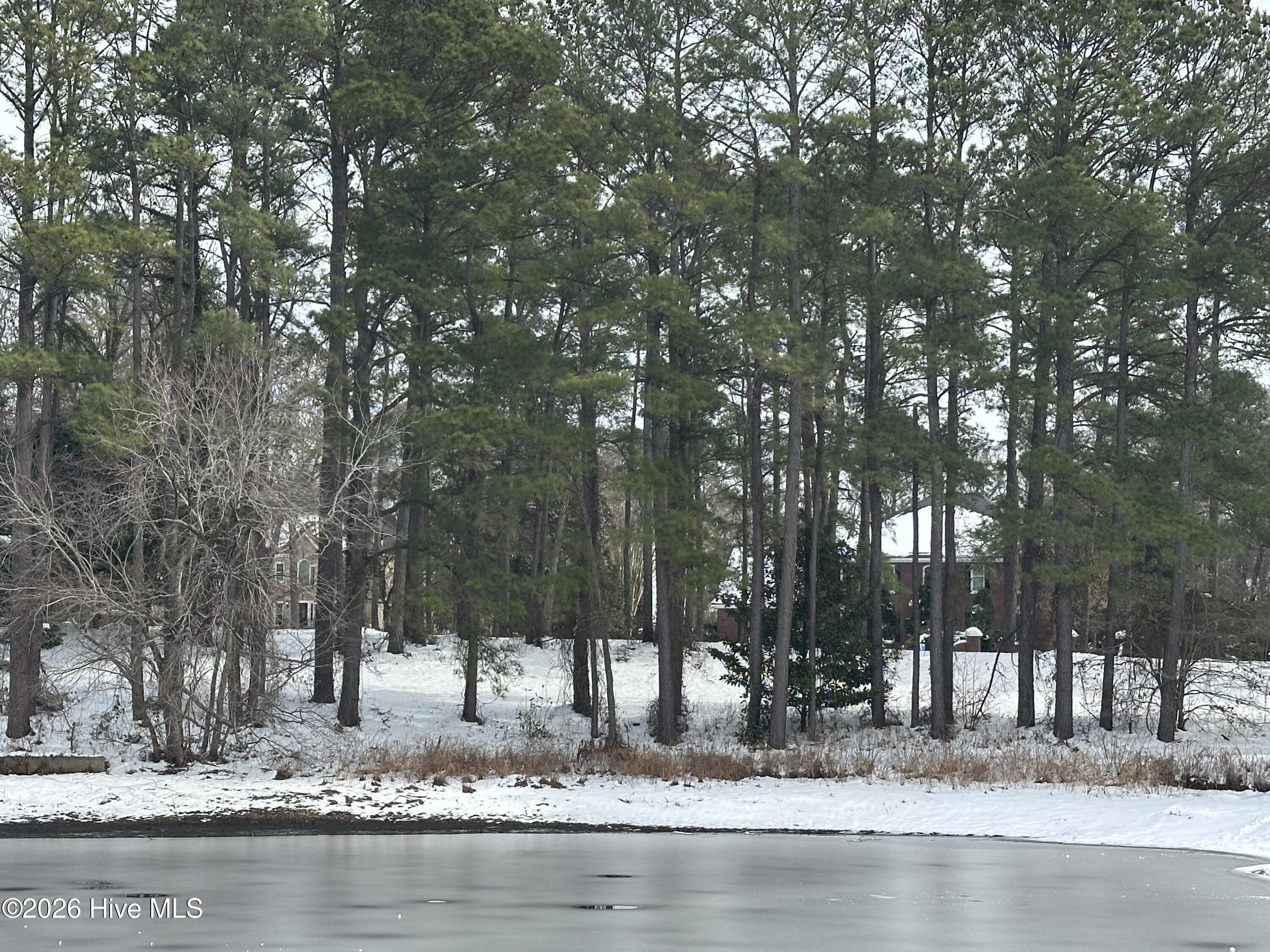 0 Mills Road Goldsboro, NC 27534 - Photo 2 of 4 IMG_6592