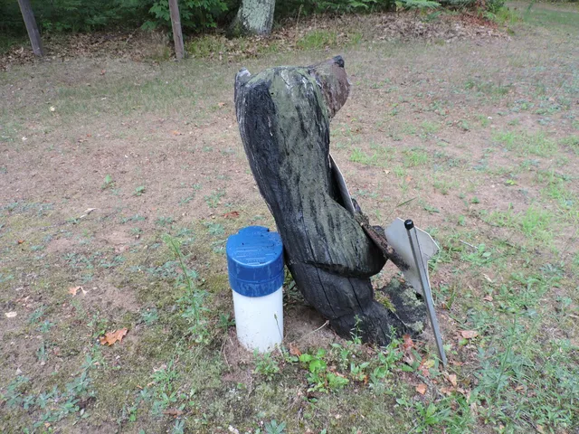 $439,900 | 9773 North Woodbridge Avenue, Bitely, MI 49309