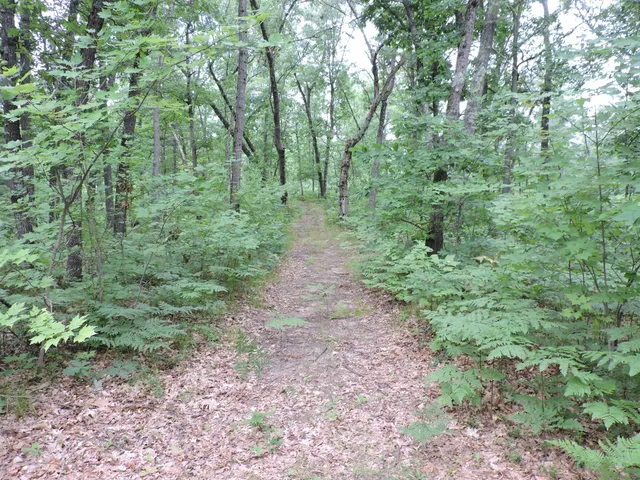 $439,900 | 9773 North Woodbridge Avenue, Bitely, MI 49309