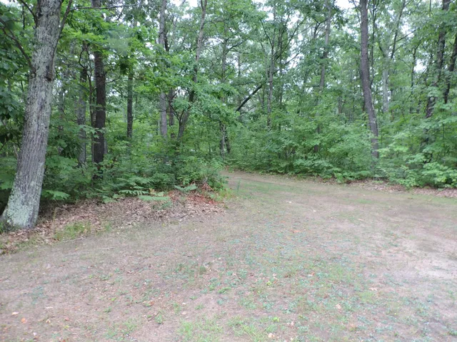 $439,900 | 9773 North Woodbridge Avenue, Bitely, MI 49309