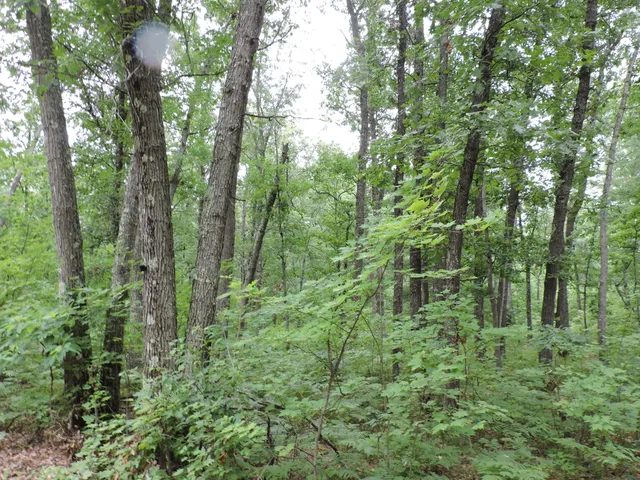 $439,900 | 9773 North Woodbridge Avenue, Bitely, MI 49309