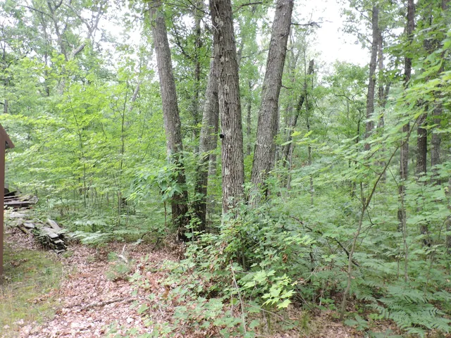 $439,900 | 9773 North Woodbridge Avenue, Bitely, MI 49309