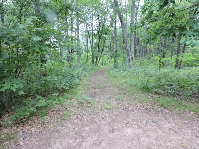 $439,900 | 9773 North Woodbridge Avenue, Bitely, MI 49309