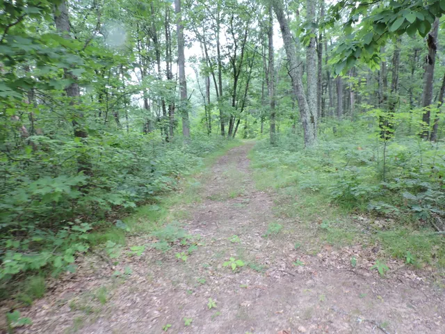 $439,900 | 9773 North Woodbridge Avenue, Bitely, MI 49309